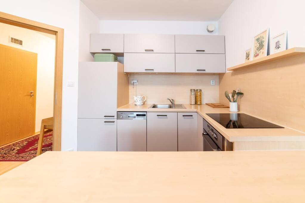 Grape Apartment Bratislava Exterior photo